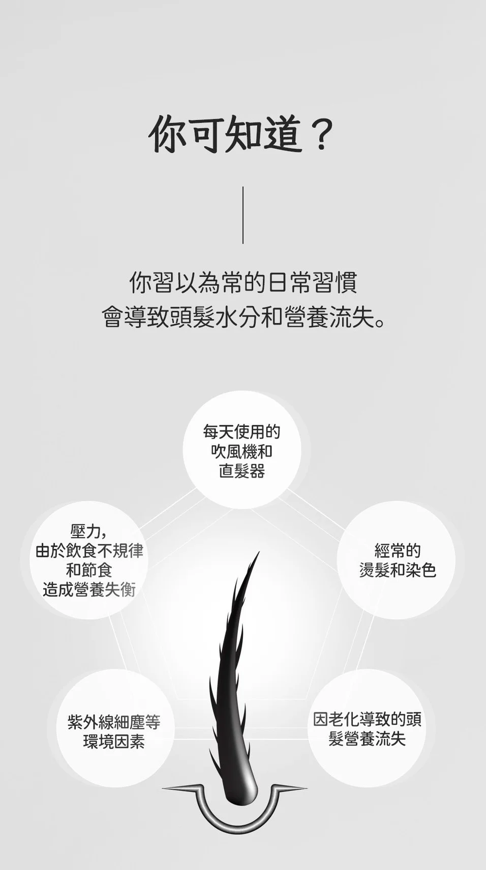 SARANARA 摩洛哥堅果精華油