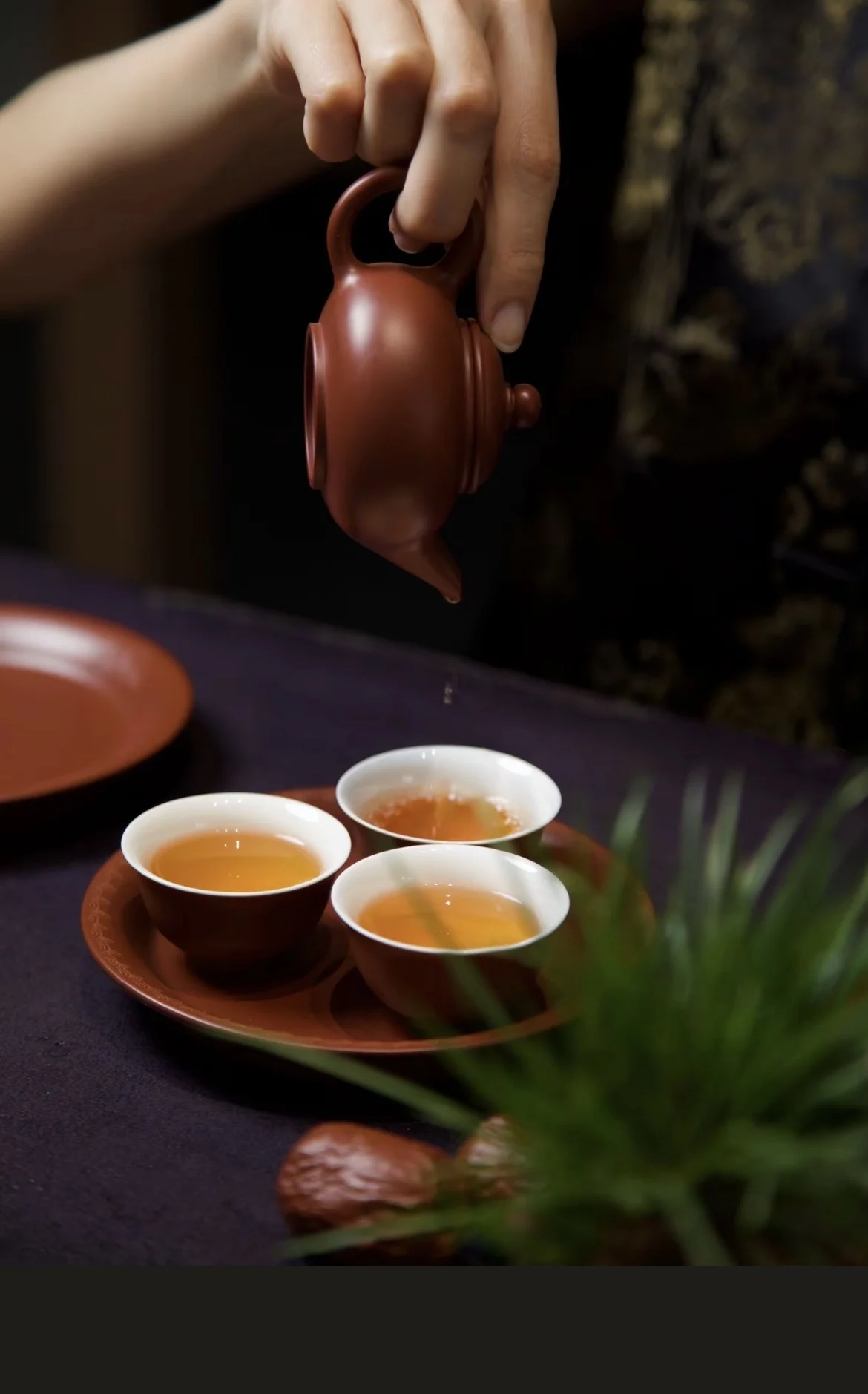 如何沖泡大紅袍？