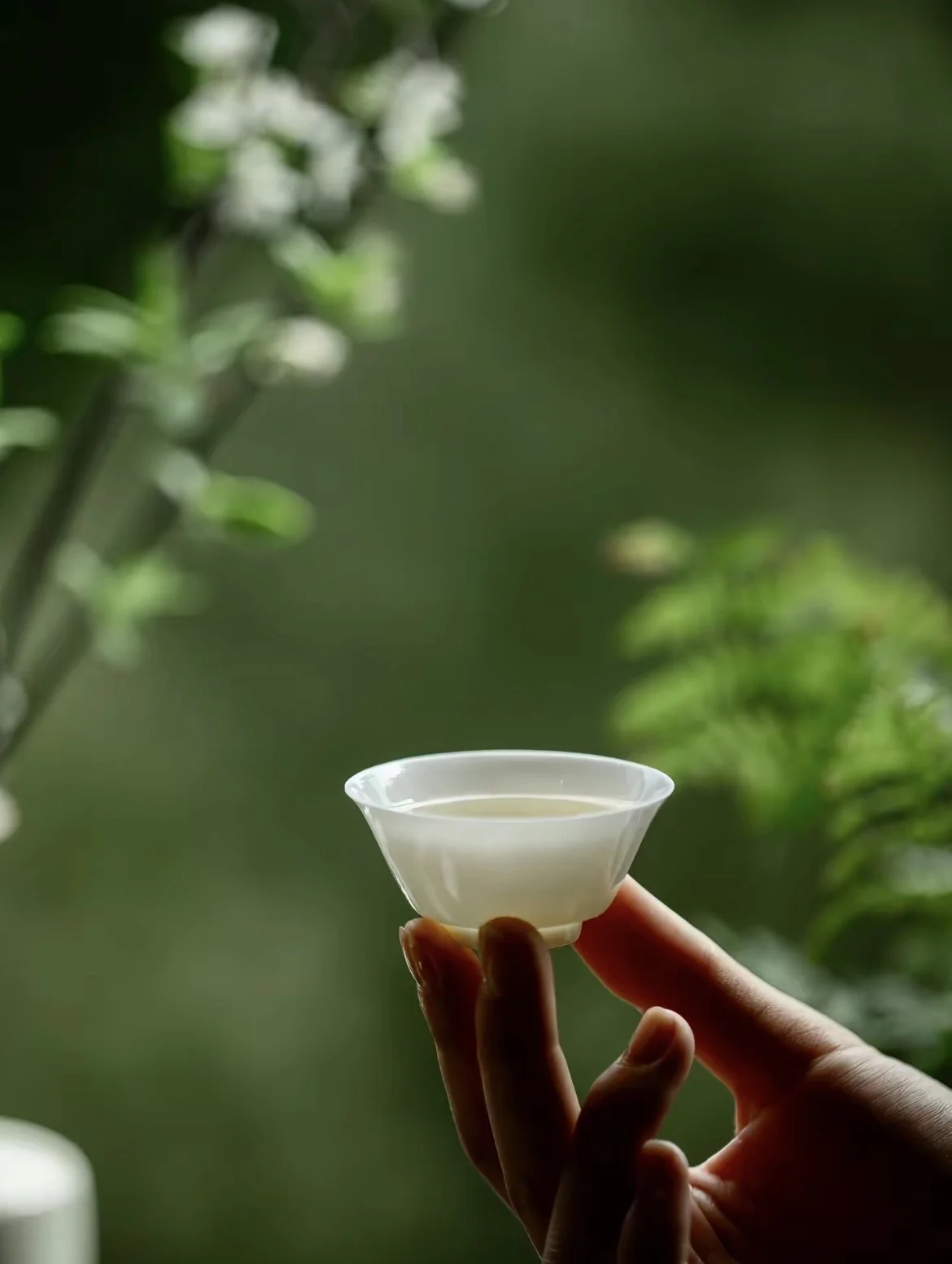 杉林溪茶介紹