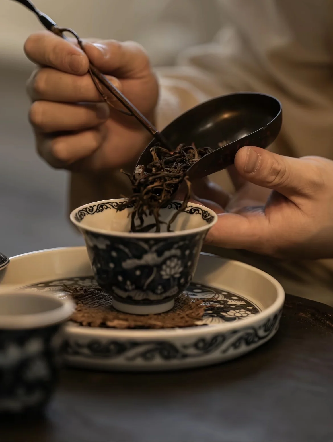 普洱茶介紹